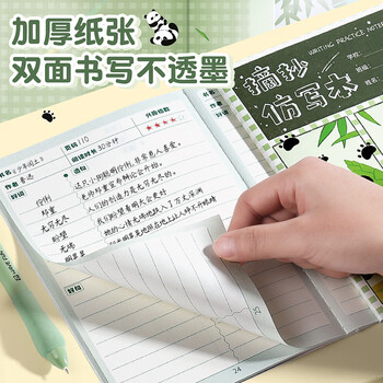 递乐 A5摘抄仿写本悠闲熊猫卡通儿童幼儿园小学生好词好句积累仿写本32张/本 4本装 B1058悠闲熊猫