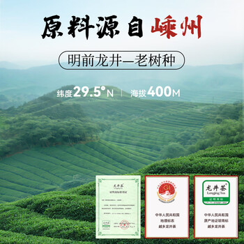越乡越州高山龙井茶叶特级100g2025年有机茶叶春茶嫩芽鲜香长辈送礼品