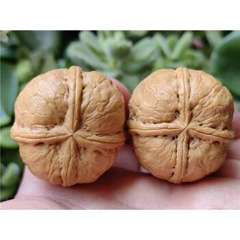 文玩堂：胡桃（鳳羽正四棱）特卖 文玩四棱核桃品牌及商品- 京东