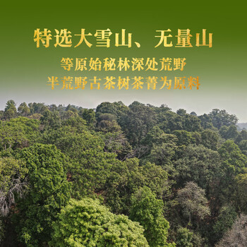 下关沱茶茶叶普洱茶生茶十八年陈料 2024年秘境荒野古树小铁饼160g