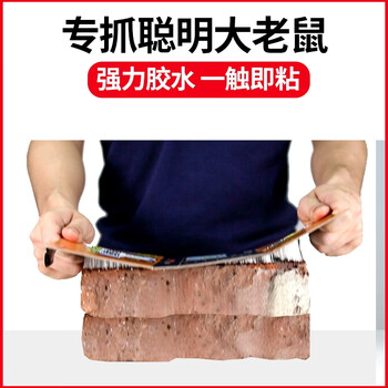 虫虫战队粘鼠板捕鼠折叠板加大加厚板三角形老鼠粘强力胶灭老鼠贴 5张