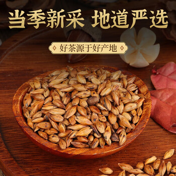 沁晚香大麦茶原味烘焙精选大颗粒泡水喝养生花茶茶包独立小包装人工炒制