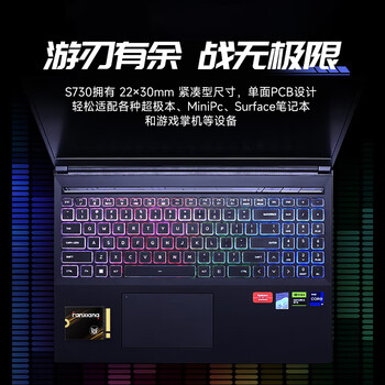梵想（FANXIANG）500GB SSD固态硬盘 M.2接口NVMe协议PCIe4.0读速7300MB/s 2230尺寸游戏掌机扩容S730