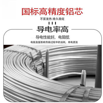 鼎献 电线电缆 国标阻燃YJLV3*6平方铝芯电缆线 100米