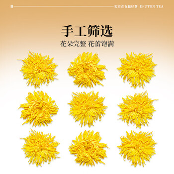 艺福堂菊花茶 精品金丝皇菊50大朵安徽黄山原产特独立包养生级搭金银花