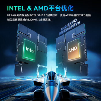 宏碁掠夺者（PREDATOR）48G(24G×2)套装 DDR5 6000频率 台式机内存条 Hera影锋系列 RGB灯条(C28) 潜影黑 AI电脑配件