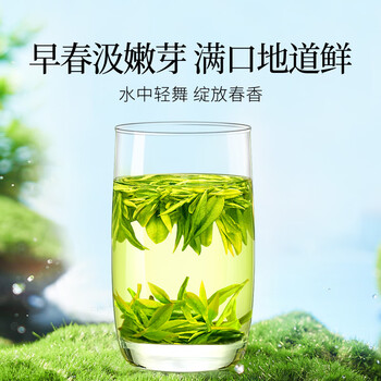 贡苑绿茶正宗龙井茶250g明前新茶礼盒装春茶嫩芽散装茶叶自己喝
