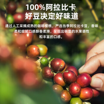 GRAINFULL COFFEE小满咖啡印度尼西亚进口黄金曼特宁100g咖啡豆中度烘焙