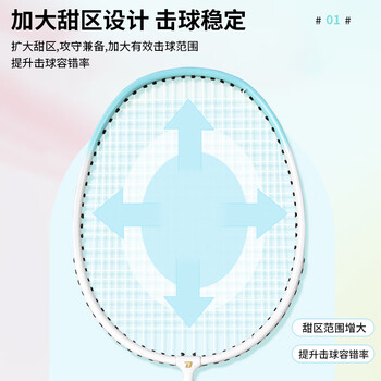 红双喜（DHS）羽毛球拍对拍套装(含手胶/球)深凹槽防磨升级训练羽拍   