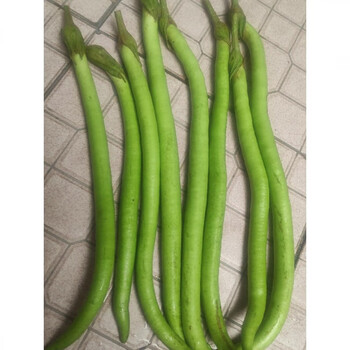 茄瓜 71BsntuZvAL._UF894,1000_QL80_.jpg