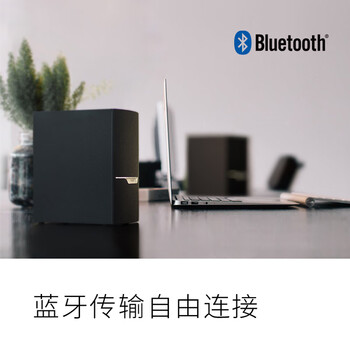 漫步者(EDIFIER)R303BT 2.1低音炮电脑音响 全木质蓝牙音箱 高保真 台式机笔记本音响 黑色 漫步者(EDIFIER)R303BT 2.1低音炮电脑音响 全木质蓝牙音箱 高保真 台式机笔记本音响 黑色