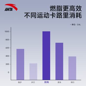 安踏跳绳电子计数中考专用成人男女士体育小学生儿童减肥健身训练