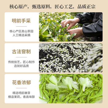茶半春茉莉花茶 川派茉莉飘雪浓香型茉莉绿茶新茶罐装茶叶100g