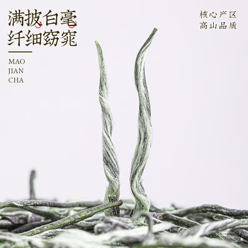 中谷御品茶叶绿茶毛尖茶特级明前浓香型嫩芽新茶送礼茶叶礼盒100g