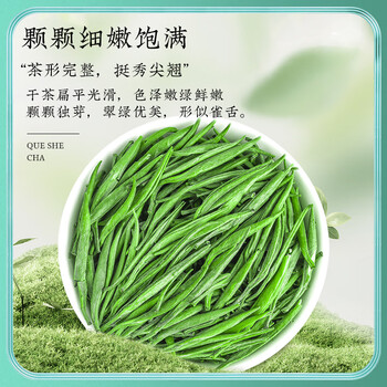 茶一馆特级雀舌绿茶 2026新茶明前嫩芽浓香型茶叶礼盒装200g过节送礼