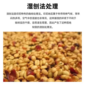 GRAINFULL COFFEE小满咖啡印度尼西亚进口黄金曼特宁100g咖啡豆中度烘焙