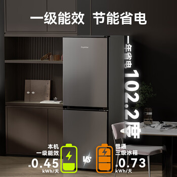 荣事达（Royalstar）200升小冰箱小型家用出租房办公室宿舍双开门两门电冰箱节能省电低音钛深灰R200