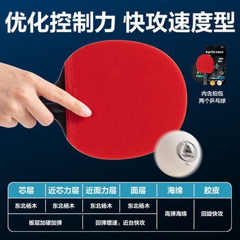 得力（deli）&安格耐特2星专用训练乒乓球拍快回球反攻基础训练球拍 横拍单拍