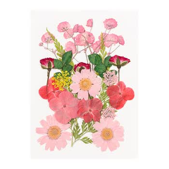 天色干花书签压花材料包创意手工制作毕业纪念礼物小学生男女孩植物标本缤纷花语系列粉色19朵TS-6134