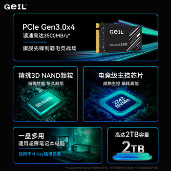 GEIL金邦 512GB SSD固态硬盘M.2接口PCIe 3.0（NVMe协议）2242短板 掌机游戏  P3P系列
