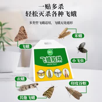COODORA飞蛾诱捕器米蛾陷阱强效家用杀虫剂衣蛾蚋蛾蠓灭杀神器粘板5片装