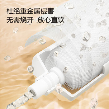 碧云泉（bewinch）母婴加热直饮净水器 宝宝恒温水净饮水机 台式冲奶粉即饮机速热抑菌 塞纳:标准版
