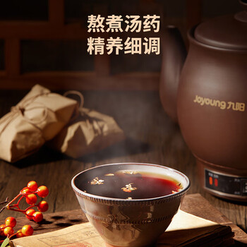 （JOYOUNG）九阳煎药壶中药锅养生壶熬中药电砂锅全自动药膳煲中药煲药壶电药锅 GD110【一体式/双档调节】 2L
