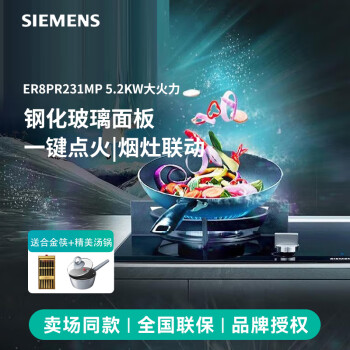 西门子（SIEMENS）燃气灶天然气 5.2KW大火力嵌入式猛火双眼灶 家用节能烟灶联动意外熄火保护 ER8PR231MP 插电款 天然气 IQ500系列|钢化玻璃面板|黑