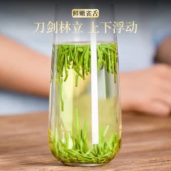 五叶泉贵州雀舌绿茶茶叶250g 2026新茶春茶高山茶叶礼盒送人送礼送长辈