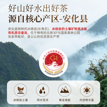 茶马世家安化黑茶正宗特优级手筑金花茯砖10年陈湖南特产非遗茶叶礼盒930g