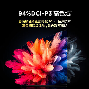 雷鸟（FFALCON）鹤6 25款 65英寸 MiniLED电视 无开机广告 一级能效智能电视机 288Hz 4+64GB  65S595C