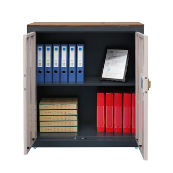 国保（Guub）保密柜办公折叠指纹密码文件柜资料柜国家认证单节文档柜Z168-VF1