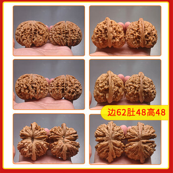 文玩核桃 官帽眼鏡蛇聚寶盆 47x35x42mm文玩核桃连体品牌及商品-