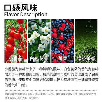 LUJIAZUI鹿家嘴肯尼亚 尼耶里AA手冲浅度烘焙单品阿拉比卡精品咖啡豆200g 