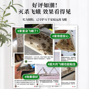 COODORA飞蛾诱捕器米蛾陷阱强效家用杀虫剂衣蛾蚋蛾蠓灭杀神器粘板5片装