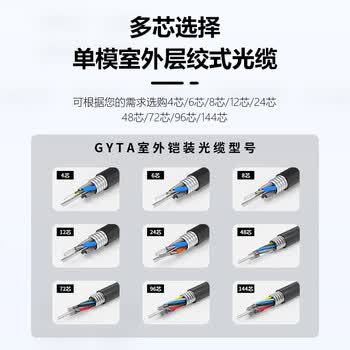 BYNET比洋在线 GYTA铠装单模室外光缆 4芯光缆 通信光纤光缆防鼠咬 层绞式室外架空/管道 100米 