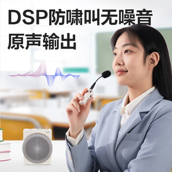 得力（deli）小蜜蜂无线扩音器 携带式扩音器 导游教师专用腰挂麦克风 灰色 LT911