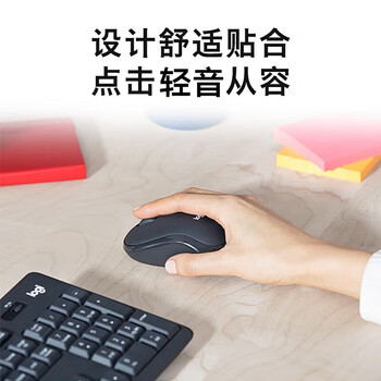 罗技（Logitech）MK295 轻音无线键鼠套装 家用超薄办公台式机笔记本电脑通用键盘鼠标套装 白色