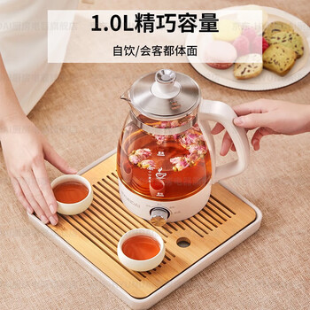 HYUNDAI韩国煮茶器 迷你养生壶一人蒸汽喷淋式蒸茶器全自动升级保温黑茶白茶 白色【不锈钢滤网】 1L