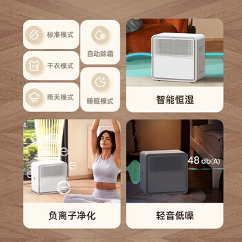 艾普莱斯（AIRPLUS）除湿机/抽湿机  回南天卧室出租屋家用轻音吸湿器  8L/天2-20㎡【轻音低噪】
