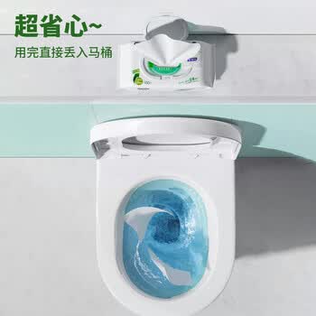 妇炎洁湿厕纸积雪草100抽*4家庭装私处湿纸巾擦屁股抑菌男女通用