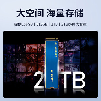 威刚（ADATA）1TB SSD固态硬盘 M.2接口(NVMe协议PCIe 3.0 x4) AI电脑配件 读速2400MB/S LEGEND 710