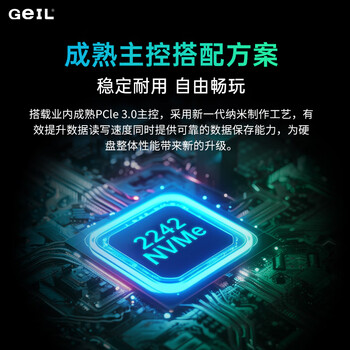 GEIL金邦 512GB SSD固态硬盘M.2接口PCIe 3.0（NVMe协议）2242短板 掌机游戏  P3P系列