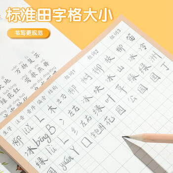 晨光（M&G）文具语文生字预习贴自粘小学生田字格预习便利贴大号字词预习卡一二年级100张YD-997考试必备