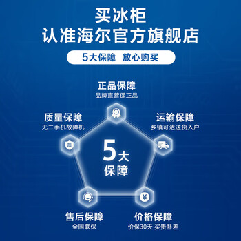 海尔（Haier）300升一级能效低霜商用家用冰柜大容量冷藏柜冷冻柜小冰柜家用小型冰箱冷柜BC/BD-300GHD