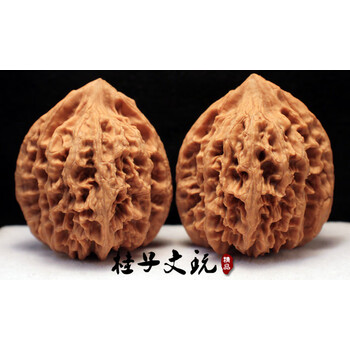 大粗筋狮子头 42尺 大粗筋狮子头价格报价行情- 京东