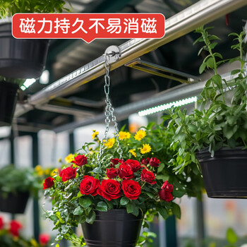 众未（JONEVEE）强力磁铁强磁铁打捞专用圆形吸铁石钕铁硼吊环吸盘河道户外【D25】直径25mm 1个装ZWMG-D25