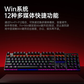雷柏（Rapoo）V500PRO 有线背光机械键盘 104键全尺寸游戏电竞笔记本电脑多媒体办公吃鸡全键无冲键盘 青轴
