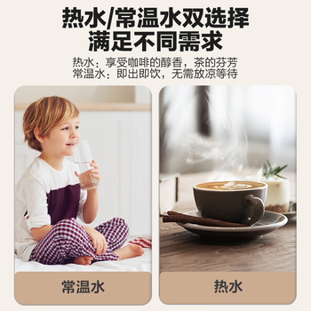 海尔（Haier）家用壁挂管线饮水机 两档调温直饮机内胆加热需等待需搭配RO膜反渗透净水器厨下式净器 HLGR03