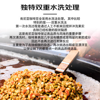 甪家嘴鹿家嘴小番茄肯尼亚AA精品手冲阿拉比卡浅烘精品咖啡豆200g